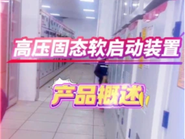 高压固态软起动装置 高压固态软起动柜 一体化高压固态软起动柜